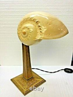 Shell Lamp 10 Polished Fig Shell Shade Antique Aladdin Bankers Desk Lamp Base